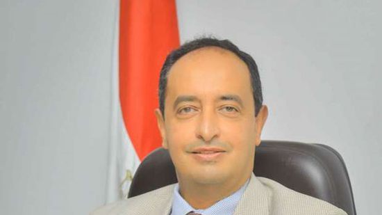 الدكتور عمرو عثمان مساعد وزيرة التضامن المشرف على مشروع مودة