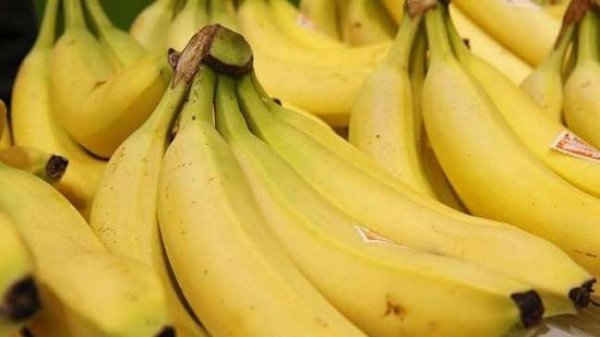 المخدرات في الموز.. خدعة ماكرة لتهريب نصف طن كوكايين إلى أستراليا