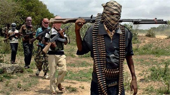 بوكو حرام تقتل شخصًا وتختطف العشرات في هجوم مسلح شمال نيجيريا