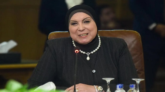وزيرة الصناعة تستعرض منظومة الإصلاحات الهيكلية في الاقتصاد المصري