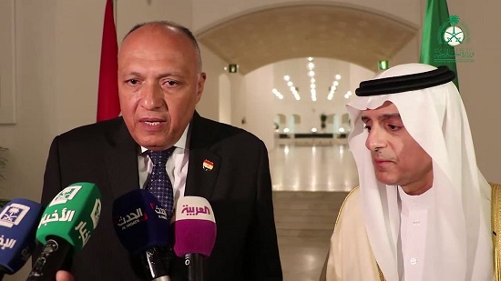  بيان مصري سعودي: نرفض التدخلات الخارجية في ليبيا ومحاولة زعزعتها عبر الإرهاب
