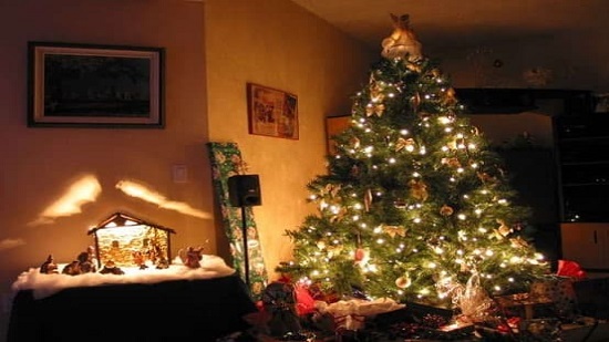  الأنبا نيقولا أنطونيو : الغرب استوحى من الشرق تزيين شجرة الميلاد وهذا الدليل 
