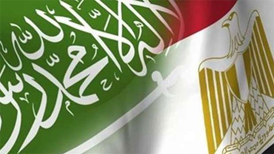 مصر والسعودية تؤكدان رفضهما التدخلات الإقليمية في الشئون الداخلية للدول العربية