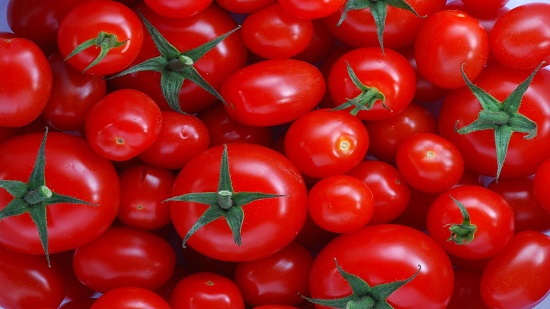شعبة الخضراوات تعلن انخفاض الطماطم 50 % عن شهرى أكتوبر ونوفمبر