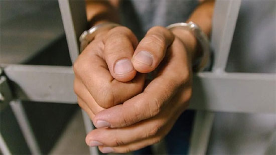 حبس عاطلين لسرقتهما المواطنين بالزيتون
