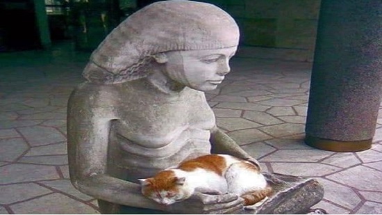  المجتمع المصري القديم قدس القطط 