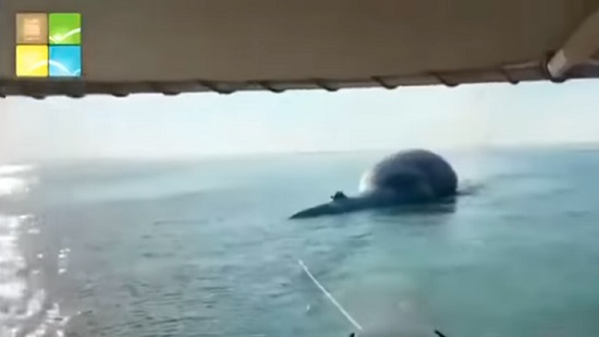  فيديو .. بحجم شاحنة .. انتشال حوت نافق من البحر في الكويت