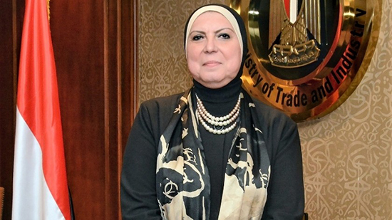 وزيرة الصناعة: مصر حريصة على تفعيل دور مجلس الأعمال المصري السوداني
