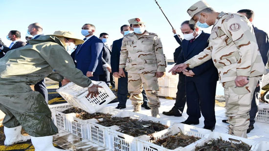  الأكبر فى الشرق الأوسط.. السيسي يفتتح مشروع الفيروز للاستزراع السمكي (صور)