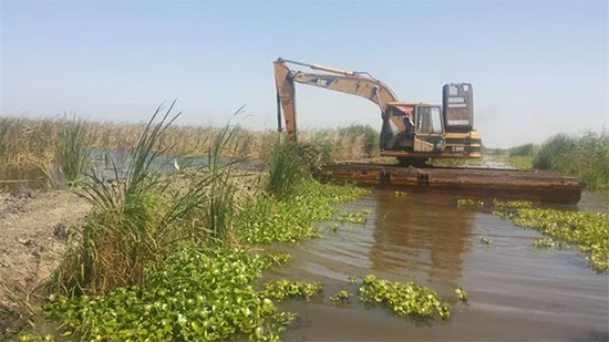 «الزراعة»: تطهير 44 ألف فدان في بحيرة المنزلة