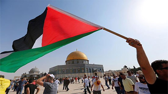 
برلماني: يجب تذليل العقبات أمام القضية الفلسطينية