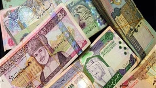  أسعار العملات العربية في مصر اليوم الاثنين 8-2-2021