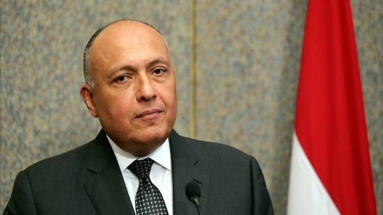 وزيرا خارجية مصر وتونس يؤكدان على إنهاء الأزمة الليبية