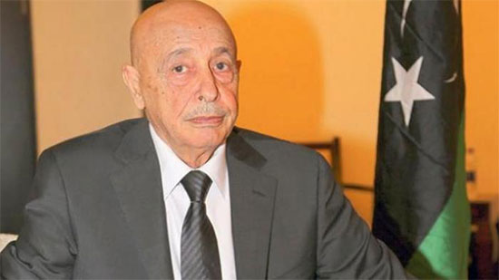 رئيس مجلس النواب الليبي، عقيلة صالح