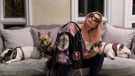 ليدي غاغا مع كلابها المفضلة