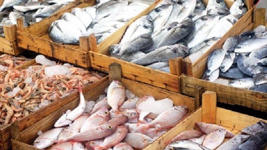 أسعار الأسماك بسوق العبور اليوم البورى يتراوح بين 32-50 جنيها للكيلو
