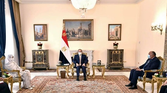  السيسي يؤكد أمن واستقرار السودان يُعد جزءاً لا يتجزأ من أمن واستقرار مصر
