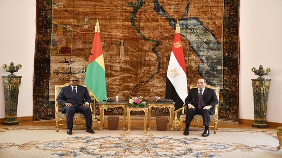 السيسي يؤكد استعداد مصر لتقديم الدعم الممكن لترسيخ استقرار غينيا بيساو