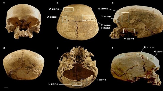 الكشف عن لغز جمجمة المرأة التي عثر عليها في كهف بإيطاليا