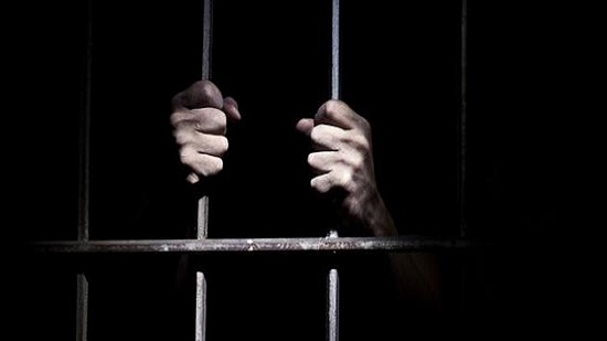 السجن 10 أعوام لـ5 متهمين بسرقة حظيرة مواشي غربي الإسكندرية
