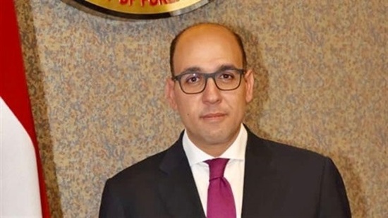 وزارة الخارجية السفير أحمد حافظ