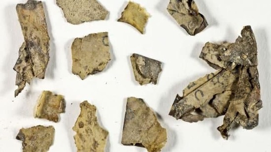 إسرائيل : اكتشاف قصاصات جلدية من الكتاب المقدس من فترة ثورة بار كوخبا (صور) 