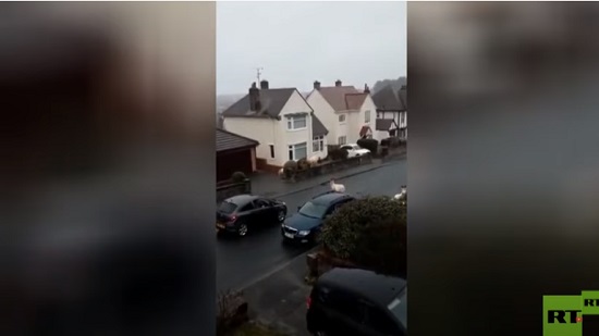  فيديو .. ماعز بري يقتحم بلدة بريطانية ويشل حركة المرور