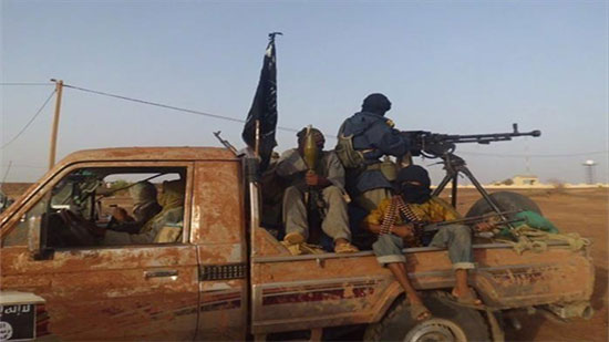 داعش يتبنى هجوما أسفر عن مقتل 30 مقاتلا من الجيش المالي