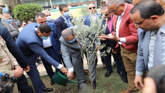 تنفيذا لتوجيهات الرئيس .. زرع 1050 شجرة زيتون بالدقهلية ضمن مبادرة 