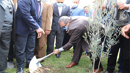 
سعفان ومحافظ الشرقية ورئيس جامعة الزقازيق يزرعون أشجار الزيتون في إطار مبادرة 
