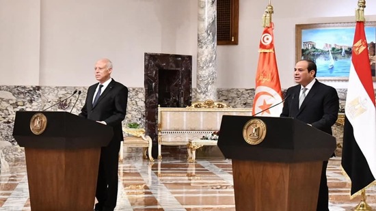  الرئيس السيسي خلال المؤتمر الصحفي المشترك مع نظيره التونسي بقصر الاتحادية
