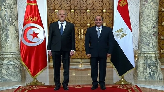 الرئيس التونسى يثمن جهود مصر للتوصل إلى اتفاق عادل بشأن ملء وتشغيل سد النهضة