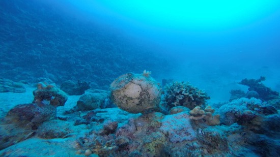 الآثار: الكشف عن مقدمة السفينة الغارقة بجزيرة سعدانة بالبحر الأحمر| صور