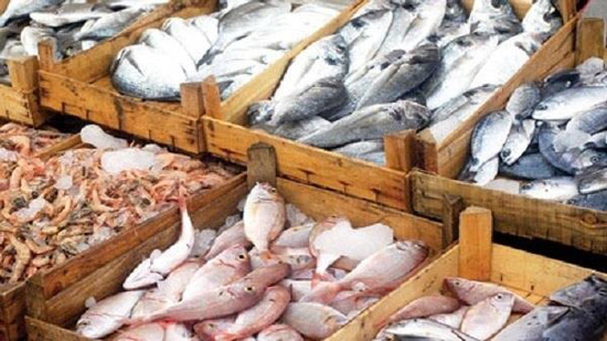 أسعار الأسماك اليوم بسوق العبور للجملة.. البلطي الأسواني 17-37 جنيهاً للكيلو
