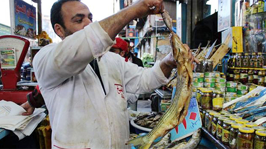 التموين تطرح أسماك مملحة بالمجمعات الاستهلاكية 