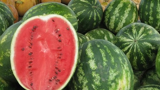 «الزراعة» تكشف حقيقة تسبب البطيخ في التسمم