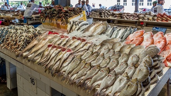أسعار الأسماك اليوم الخميس.. انخفاض البلطى المزارع
