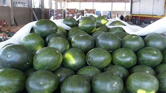 الشائعات تضرب سوق البطيخ في عز الموسم: البطيخة بـ10 جنيهات
