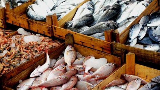 أسعار الأسماك في سوق العبور اليوم الجمعة 28 مايو
