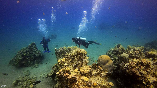تسعى وزارة البيئة المصرية لحماية شواطئ البحر الأحمر