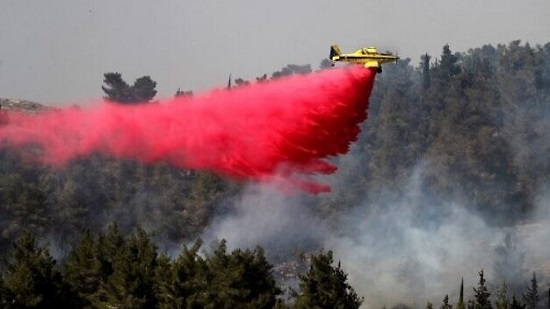 حريق كبير يلتهم غابات قرب القدس