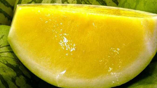 بدون بذور.. مصر تنجح في إنتاج صنفين من البطيخ الأصفر والأحمر