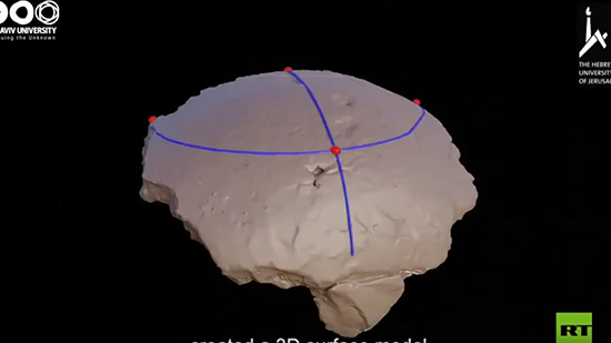 فيديو .. اكتشاف جمجمة غريبة ما قبل التاريخ قد تكون 