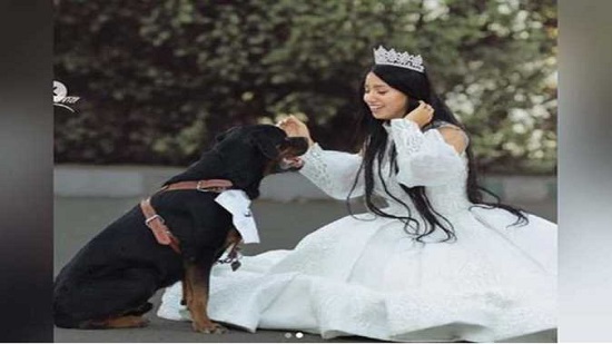  هبة مبروك تثير الجدل بفستان زفاف وجلسة تصوير مع كلب