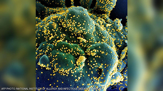 فيروس كورونا كما يظهر تحت الميكروسكوب
