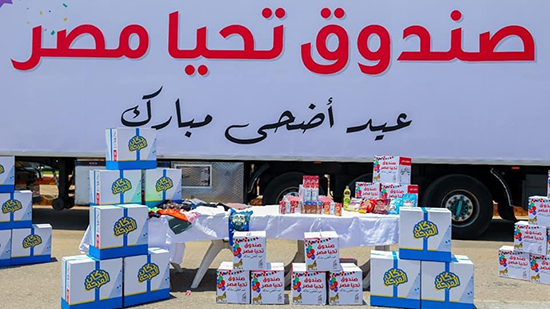 صندوق تحيا مصر يطلق قافلة لدعم الأسر الأولى بالرعاية في محافظة قنا ويوزع الأغذية والملابس على 2000 أسرة 