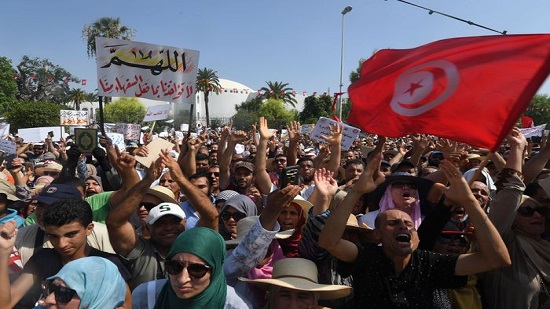  الخارجية تعلن تضامن مصر الكامل مع الشعب التونسي