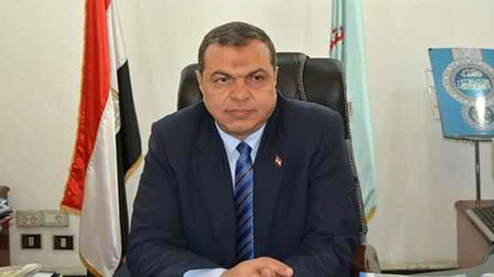 سعفان : الرئيس السيسي وقف وخلفه شعبه ليؤكدوا أن مصر بما لديها من مقومات يجب أن تكون منفتحة في علاقاتها الدولية