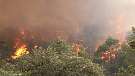 مصر تعزي الجزائر في ضحايا الحرائق 