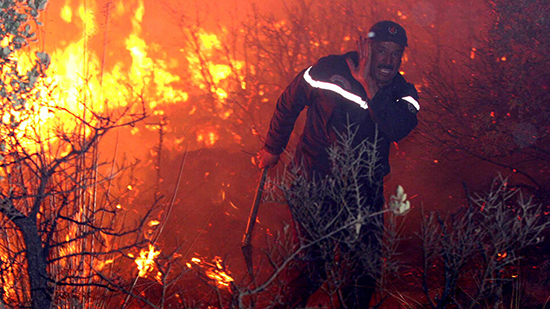 الجزائر تتهم منظمة إسلامية وإسرائيل بإشعال حرائق الغابات المدمرة